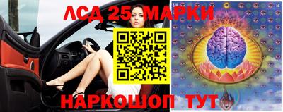 прущие грибы Гусев